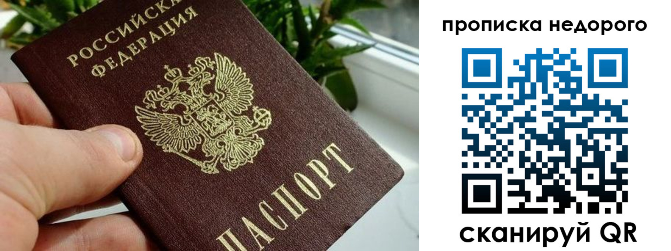 прописка для кредита в Киришах
